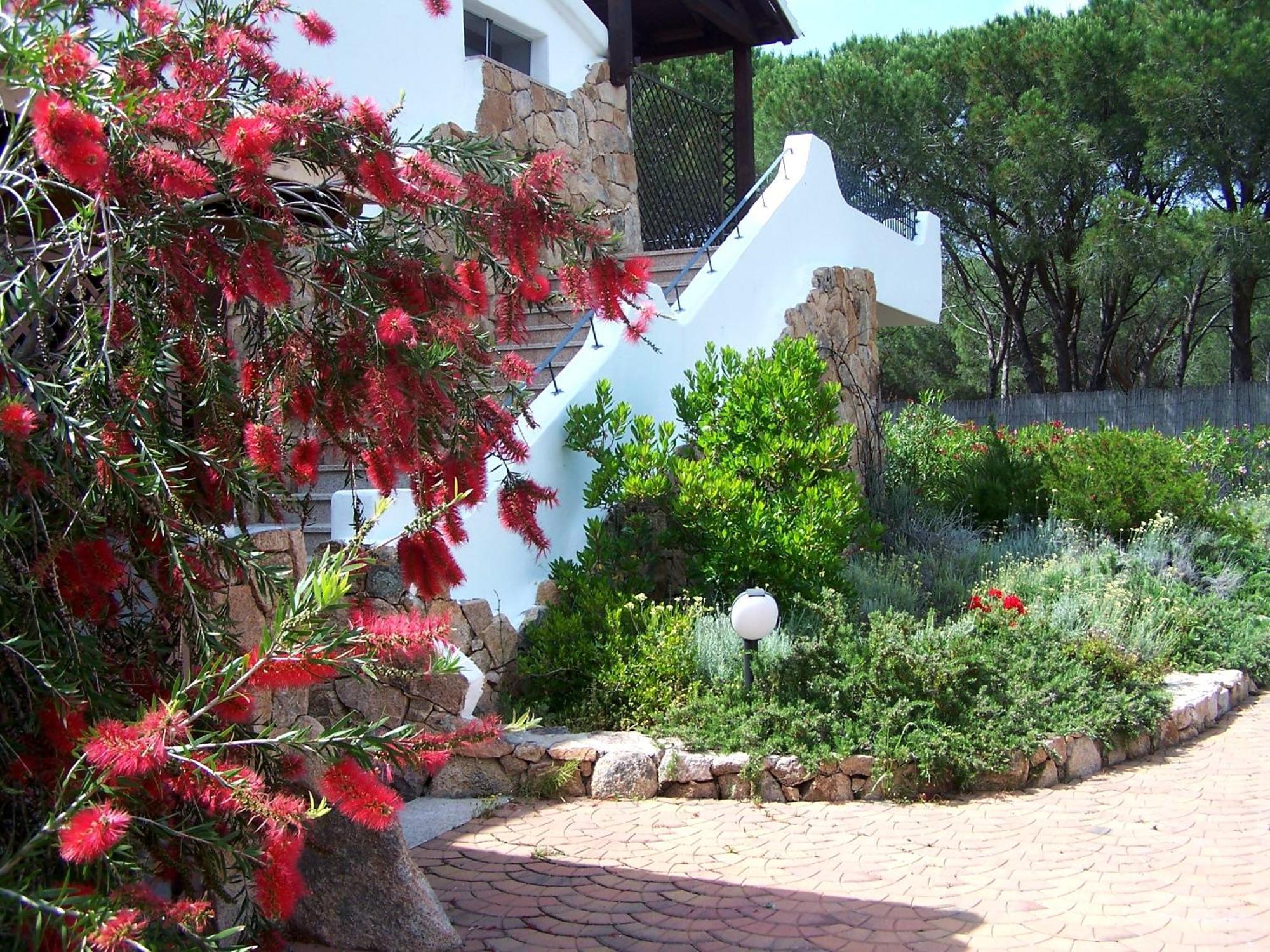 Hotel Club Ragno D'Oro Olbia Tempio Exterior foto